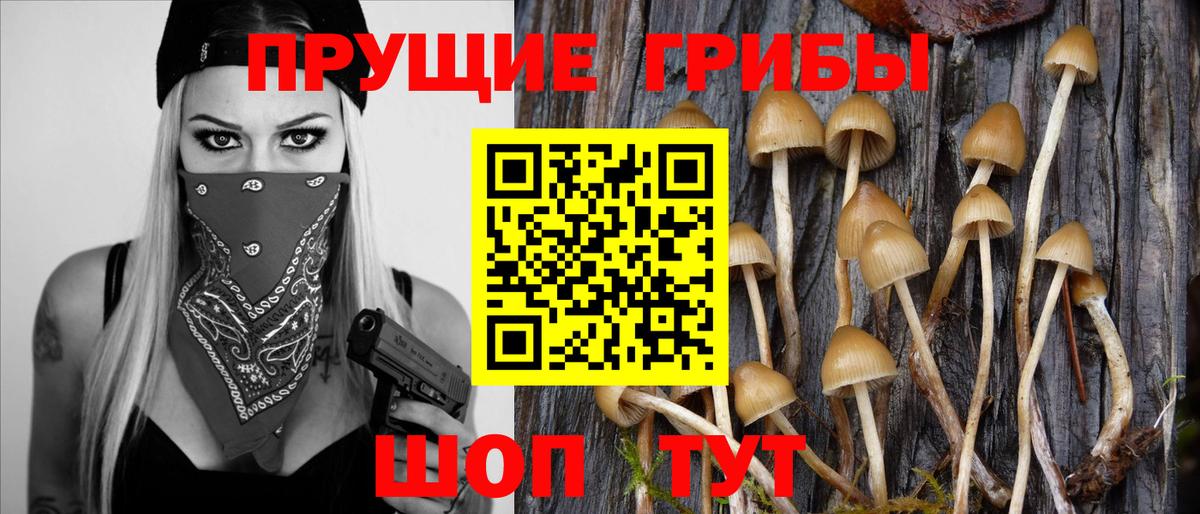 Галлюциногенные грибы Обь