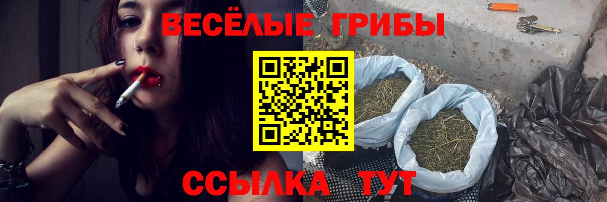 Обь  Галлюциногенные грибы ЛСД  Вход с VPN 